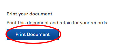 A screenshot from the OpenGov public portal showing the button applicants can use to print their issued documents. The button is circled in red.