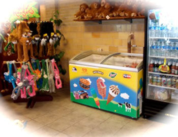 Lakefly Cafe