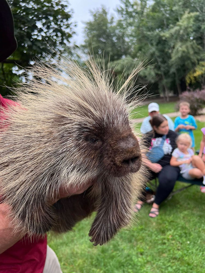 Wildlife Wednesday 4