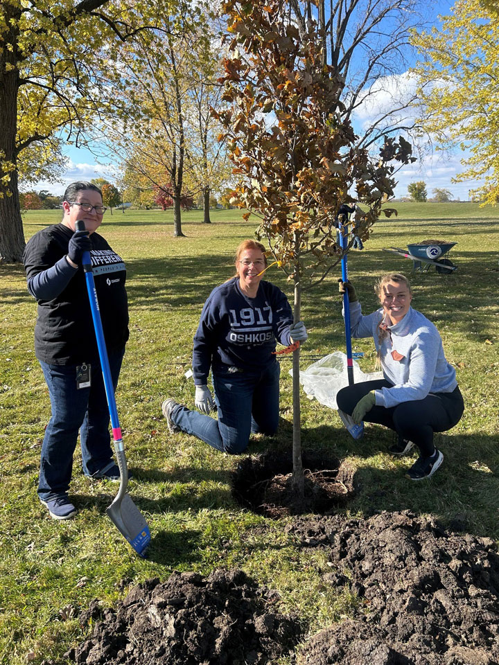 Volunteers helping out in one of our parks by planting a tree