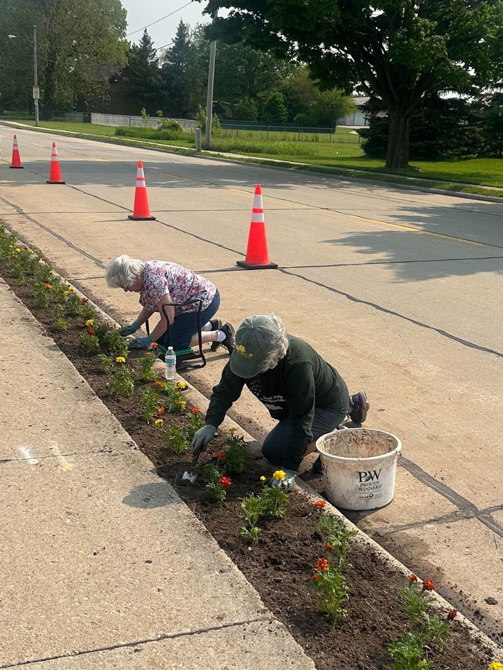 Two volunteers making our terraces beautiful by planting marigolds