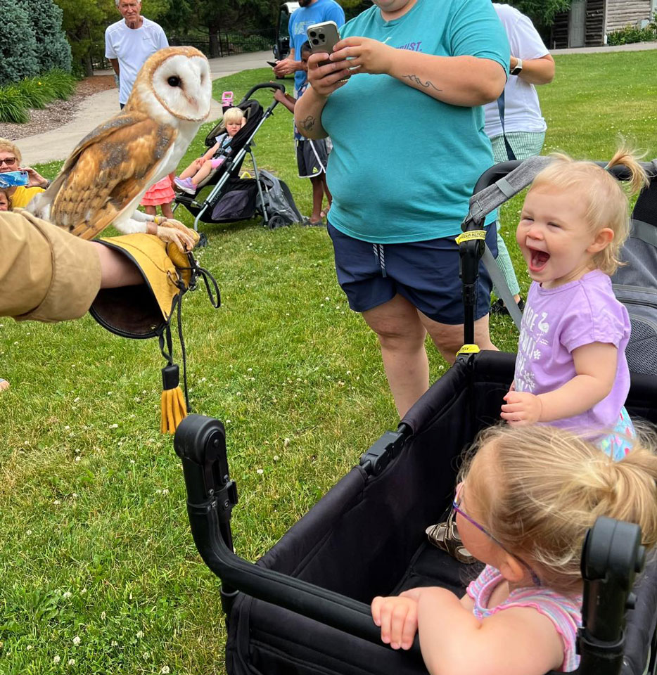 Wildlife Wednesday 3