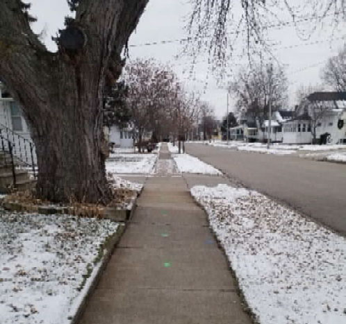 Sidewalk Has Tilted Because Of Tree Roots